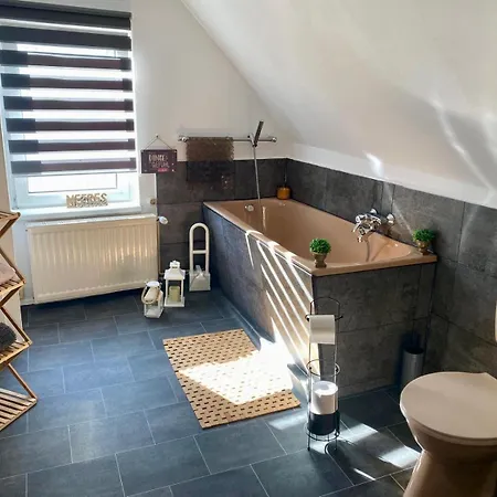 Altstadt-hotel Gosequell Guest house 3*