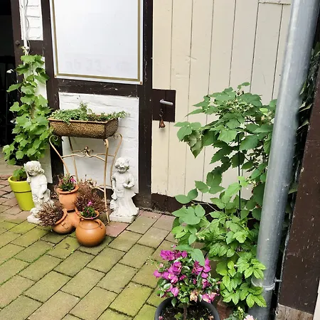 Altstadt-hotel Gosequell Guest house 3*