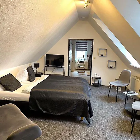 Altstadt-hotel Gosequell Guest house 3*