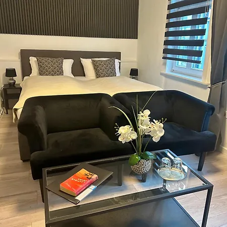 Altstadt-hotel Gosequell Guest house 3*