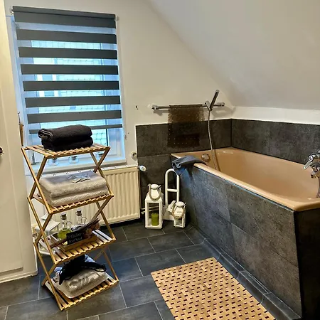 Guest house Altstadt-hotel Gosequell 3*