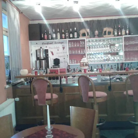 Guest house Altstadt-hotel Gosequell 3*