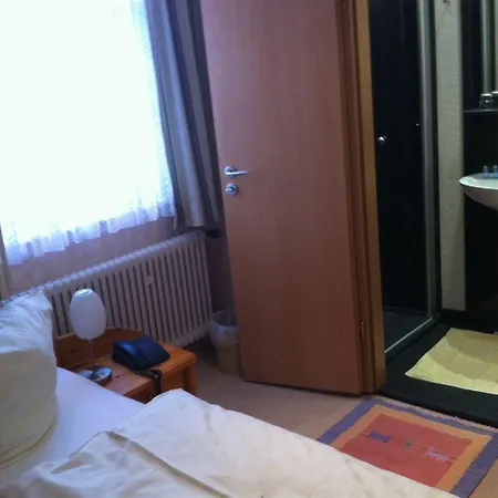 Guest house Altstadt-hotel Gosequell 3*