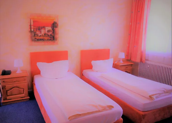 Altstadt-hotel Gosequell 3*