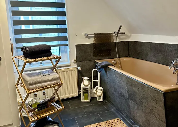 Gasthuis Altstadt-hotel Gosequell 3*